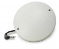  Silent Call 12V Bed Vibrator